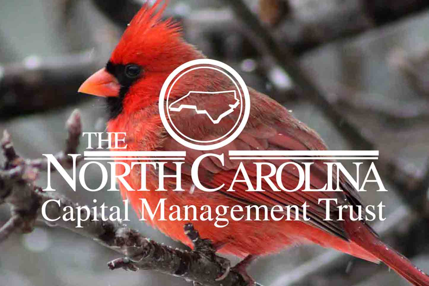 North Carolina Capital Management Trust (NCCMT)